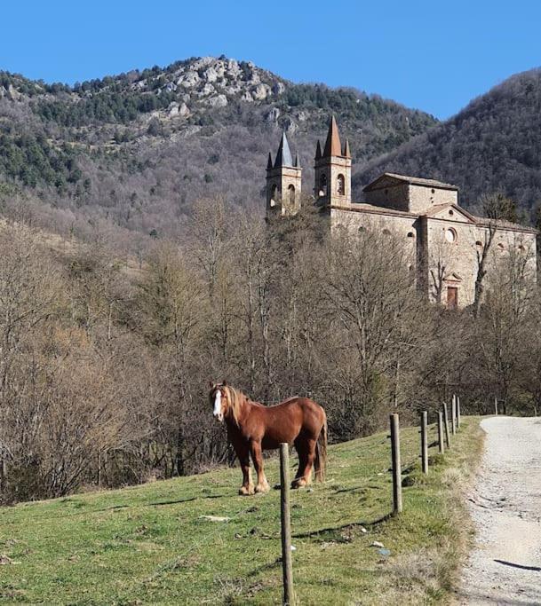 El Mussol De La Vila Camprodon, Balconets Amb Vistes A La Placa Luaran gambar